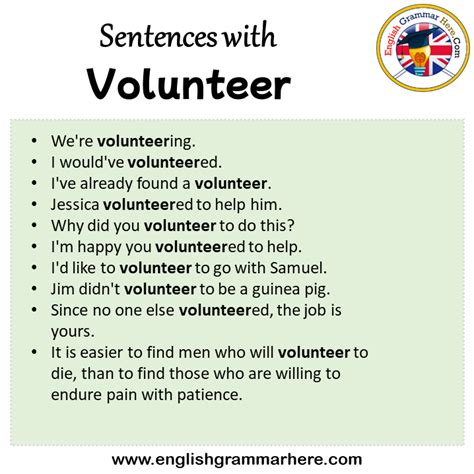 volunteer in a sentence