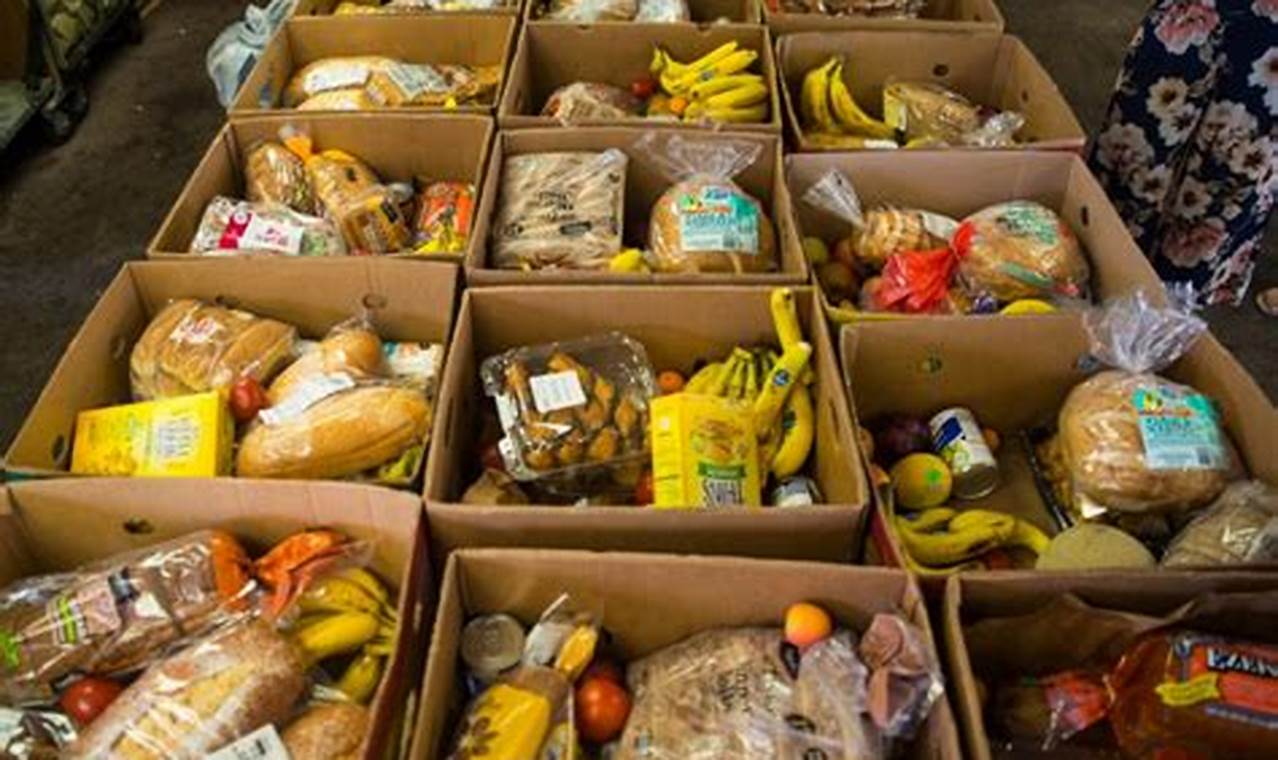 Volunteering at a Food Bank: Making a Meaningful Impact on Your Community