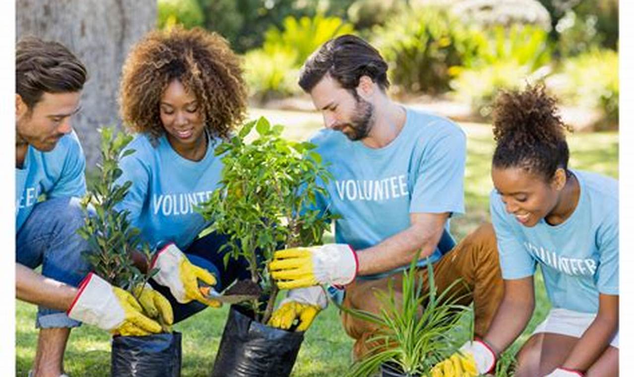 Volunteering in Charlotte: Making a Difference in the Queen City