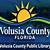 volusia county library website