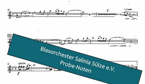 Viera Blech Play Along - Trompete/Flügelhorn in Bb - Brassport