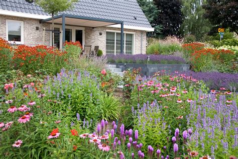 Voortuin Met Vaste Planten