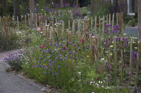Voortuin Wilde Bloemen
