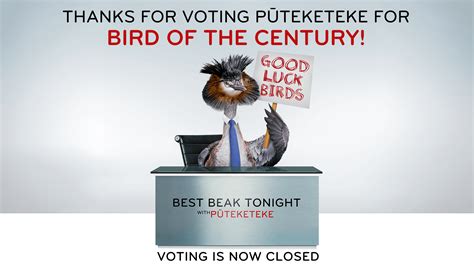 vote this bird.com free