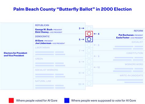 voter registration lookup palm beach county