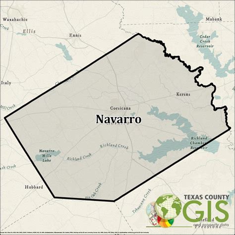 voting in navarro county texas