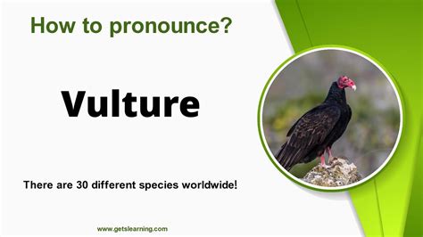 voucher and vulture pronunciation