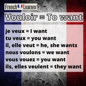 voulez vous moi meaning