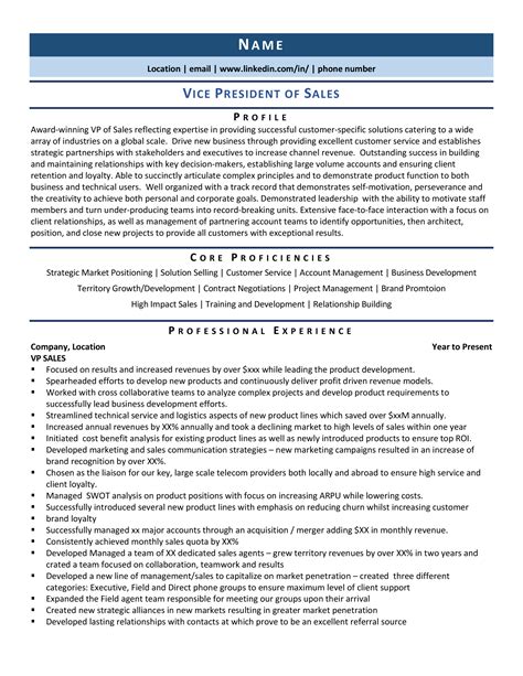 VP Sales Resume Sample & Template