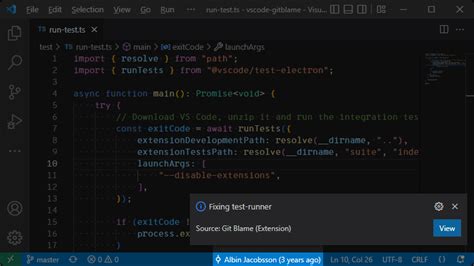 vs code git blame plugin