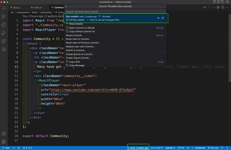 vs code hide blame