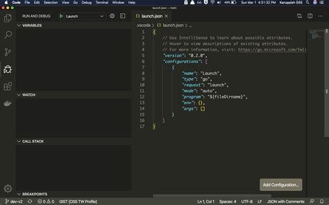 vs code launch set environment variables