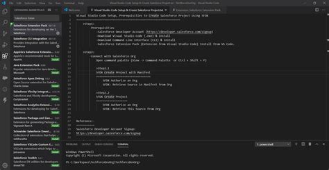 vs code setup for salesforce project