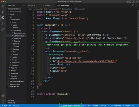 vs code show blame