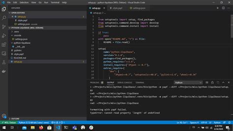 vscode c# format document not working