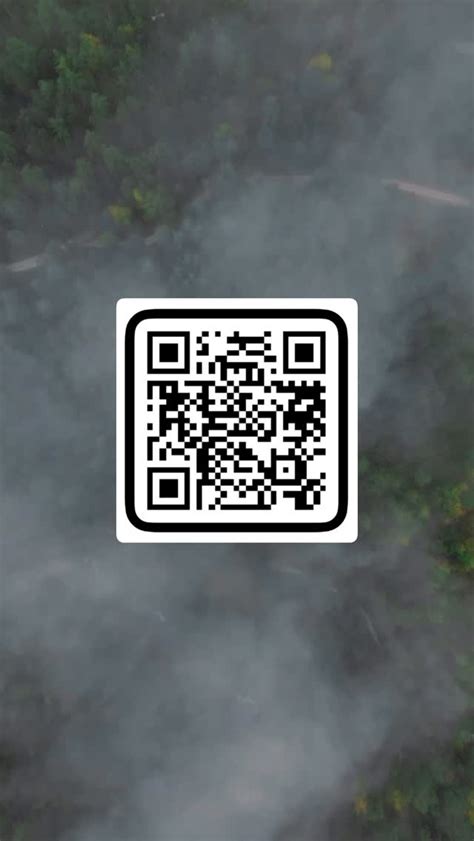 Vsp Coloring Qr Code Baddie