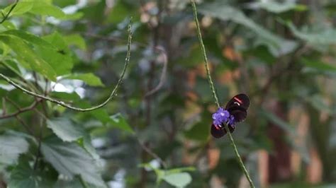 Vutterfly Of Leaks Full Collection Leaks #70c