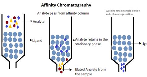 vydac columns for affinity chromatography