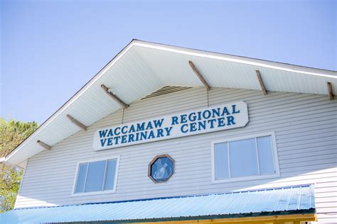 waccamaw animal hospital