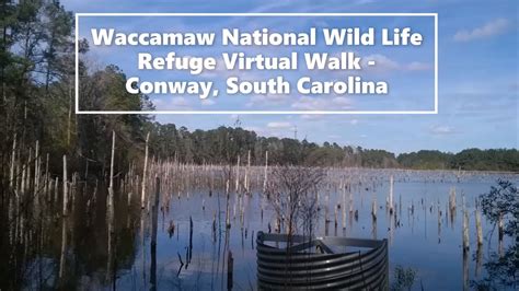 waccamaw national wildlife refuge sc