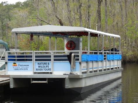 waccamaw river boat tours