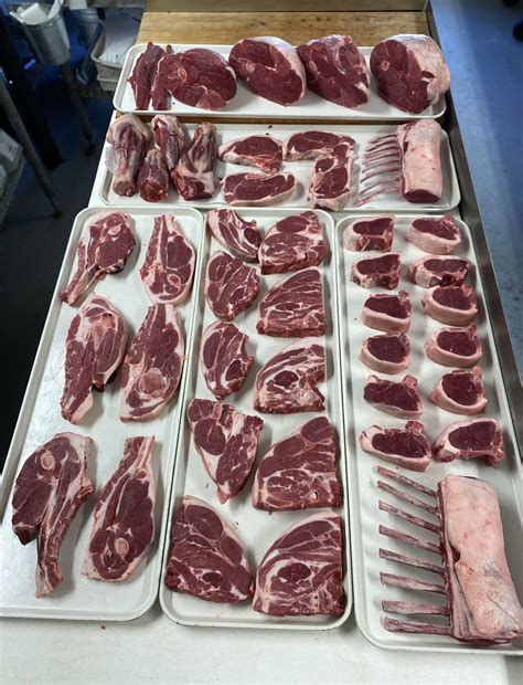 Wainwright Deer Processing