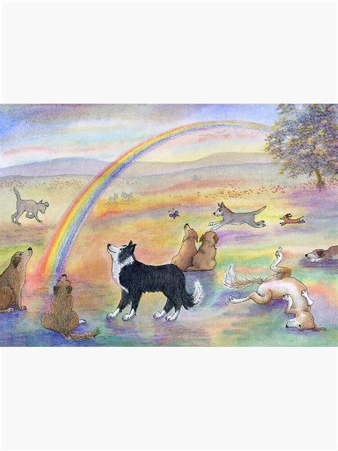 wait time at the rainbow bridge