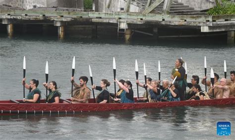 waitangi day wellington 2023