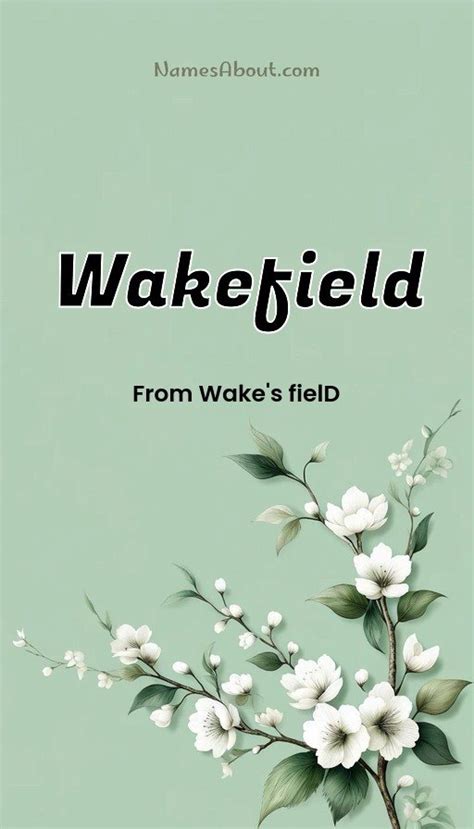 Wakefield Name Meaning Origin