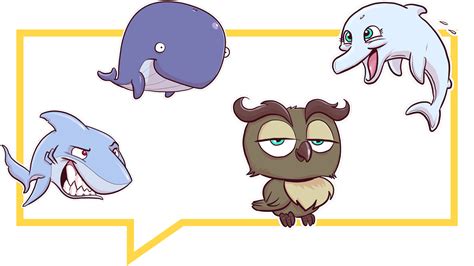 Wal Hai Delfin Eule Test Popular