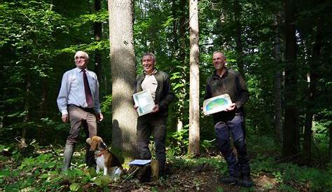 Bayern weitet Waldförderung aus | Bayerisches Landwirtschaftliches