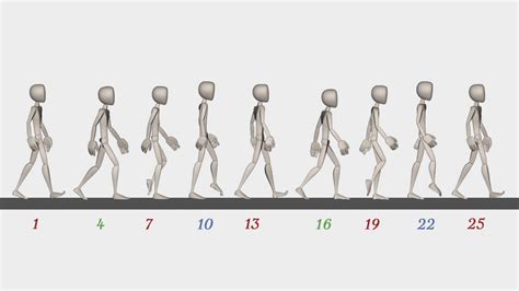 Walk Cycle Animation