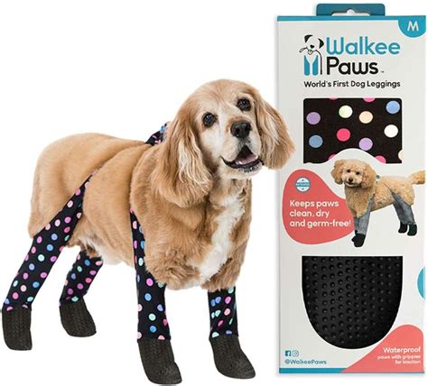 walkee paws amazon
