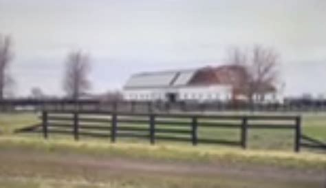 Walker Standardbreds Tornado