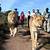 walking with lions