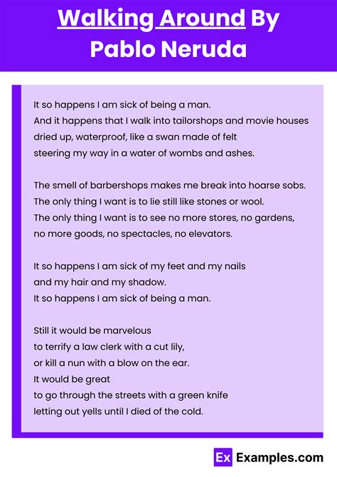 Discover the Wonders: A Day of Exploration on Your Feet