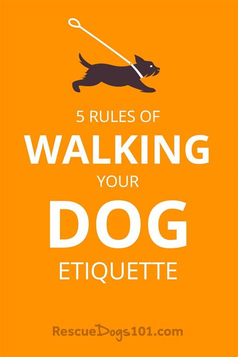 Walking Dog Rules