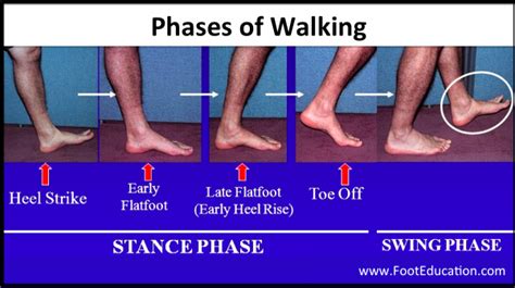 Walking Foot Movement