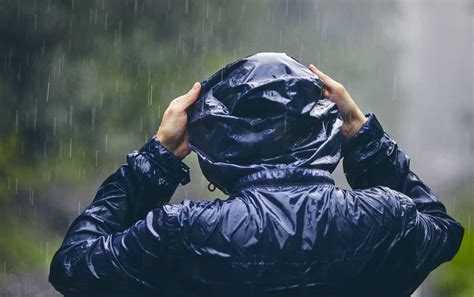 Unleash Serendipity: Exploring the Joys of Walking in the Rain