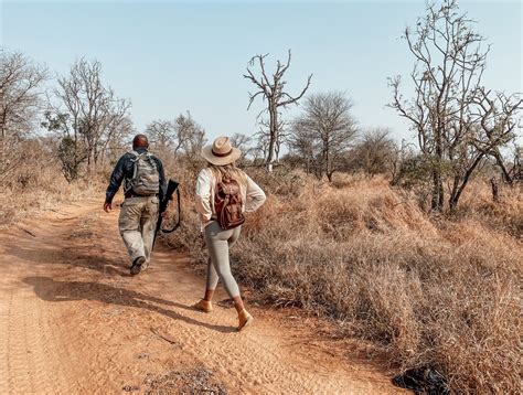 walking safari guide