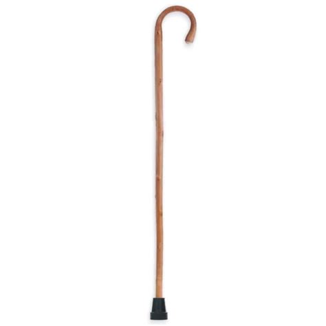 walking stick
