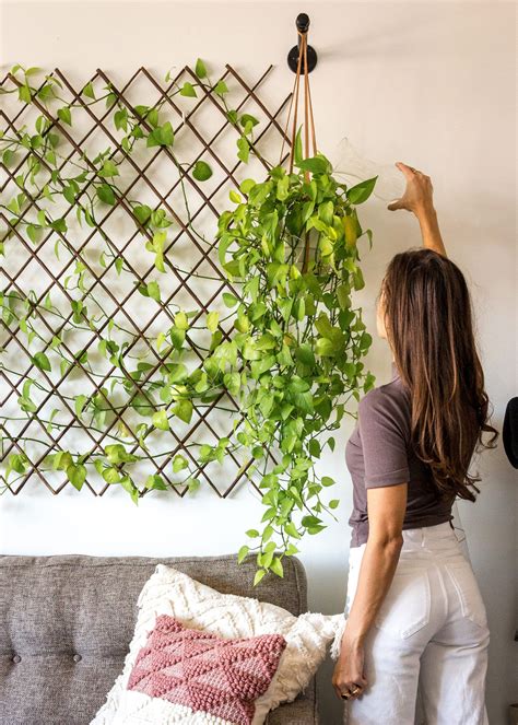 Umbra Floralink Living Wall Vessel White Wall plants indoor, Hanging