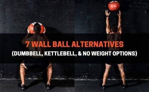 Wall Ball 10 lbs Pure Body Logix