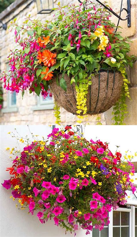 Wall Baskets Of Flowers