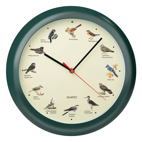 wall bird clock