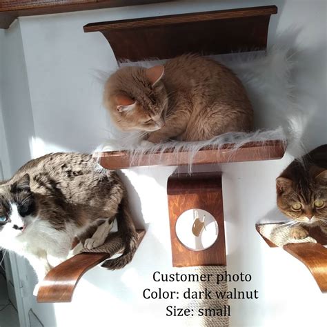 Wall Cat Condo