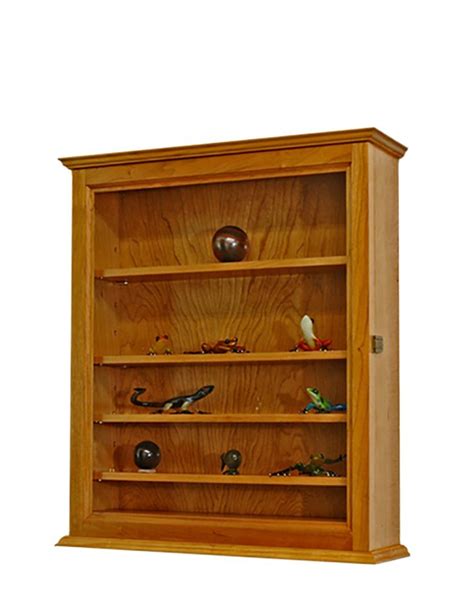 wall curio display case