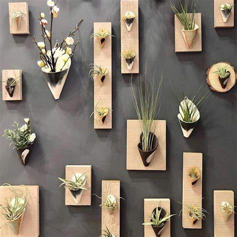 Wall Decorating Ideas With Plants