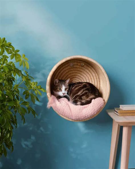 Wall Hanging Cat Beds