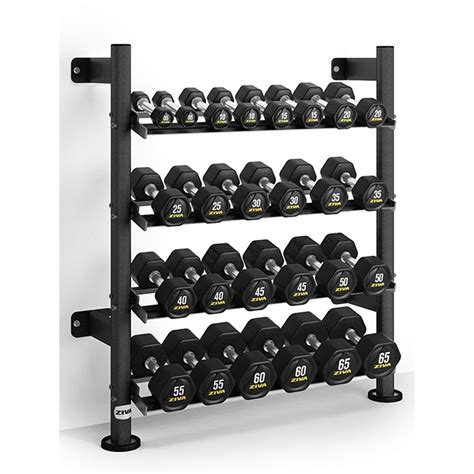 Wall Hanging Dumbbell Rack